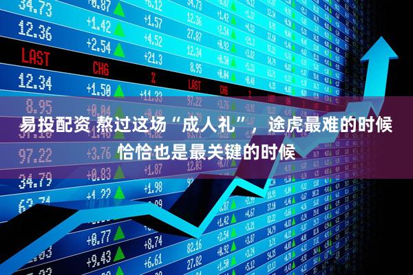 易投配资 熬过这场“成人礼”，途虎最难的时候恰恰也是最关键的时候