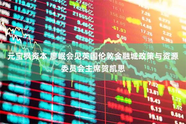 元宝枫资本 廖岷会见英国伦敦金融城政策与资源委员会主席贺凯思