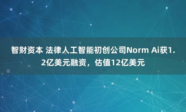 智财资本 法律人工智能初创公司Norm Ai获1.2亿美元融资,估值12亿美元