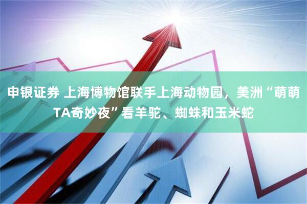 申银证券 上海博物馆联手上海动物园，美洲“萌萌TA奇妙夜”看羊驼、蜘蛛和玉米蛇